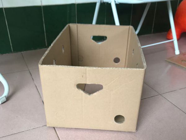 Quy cách thùng carton và cách xác định kích thước chuẩn