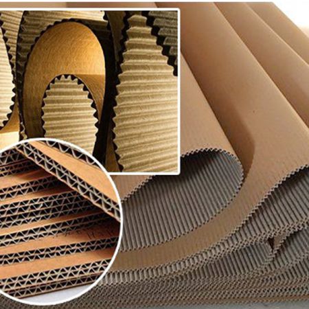 Giấy cuộn 1 lớp và 2 lớp