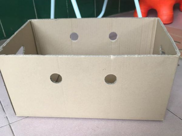 Một số loại mẫu thùng carton thông dụng