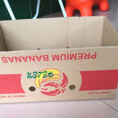 Bao bì carton