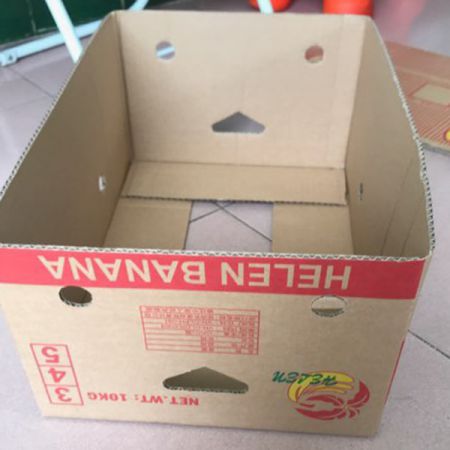 Bao bì carton